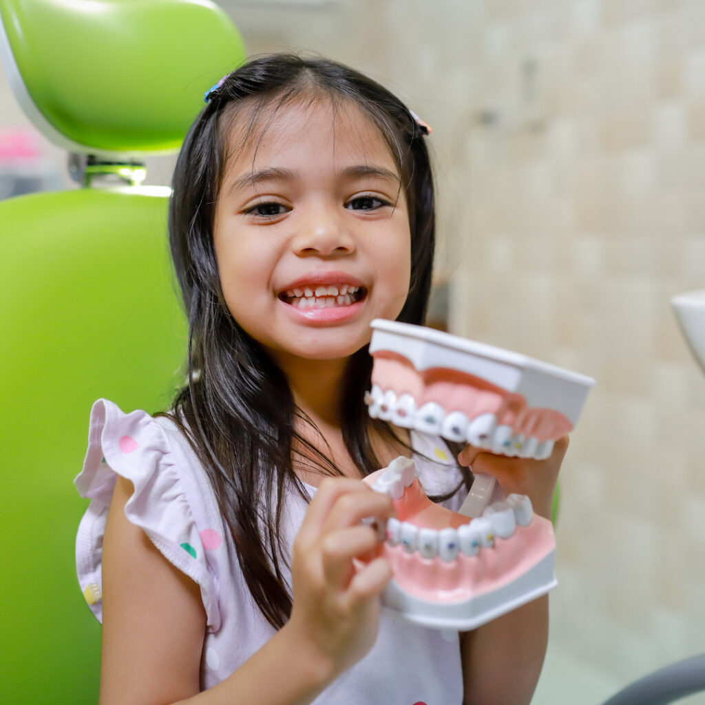 Paediatric Dentistry - Little girl holding model of mouth and gums